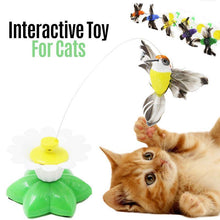 Load image into Gallery viewer, 【LAST DAY SALE】 Interactive Bird Toy For Cats

