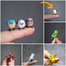 Load image into Gallery viewer, 【Mother&#39;s Day Sale - 50% OFF】Needle Felting Miniature Bird Kit
