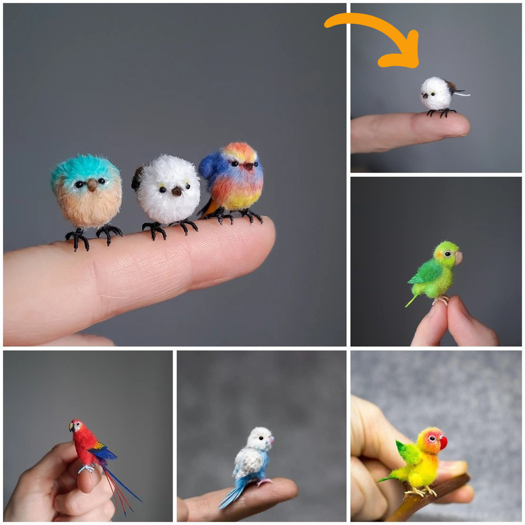 【Mother's Day Sale - 50% OFF】Needle Felting Miniature Bird Kit