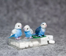 Load image into Gallery viewer, 【Mother&#39;s Day Sale - 50% OFF】Needle Felting Miniature Bird Kit
