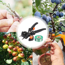 Load image into Gallery viewer, Professional Grafting &amp; Pruning Tool
