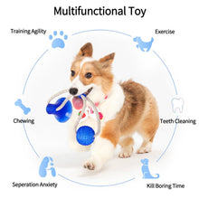 Load image into Gallery viewer, 【60% OFF】Suction Tug Toy
