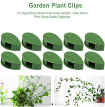 Load image into Gallery viewer, New Plant Climbing Wall Clips
