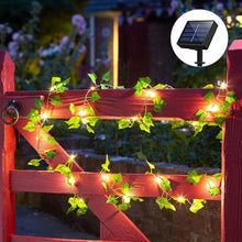 Load image into Gallery viewer, [50% Off]  Solar Rattan Lights
